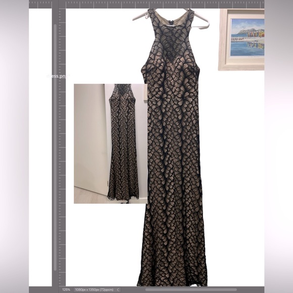 Stunning Gown see through lace - Picture 1 of 2